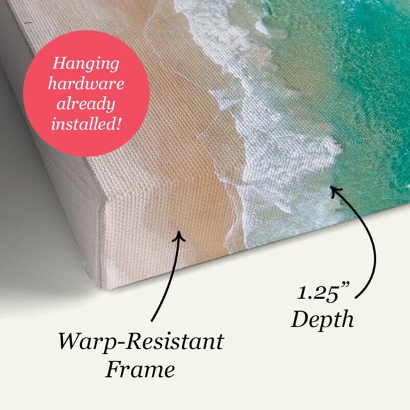 Carol Robinson Blue Sea Turtle Swim Canvas Wall Art 24" x 24" Framed🆕⌚📦🏃🏻⚡ - Picture 7 of 13